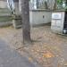 Free place in Warsaw city