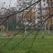 Баскетбольная площадка в городе Москва
