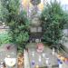 The grave of  Skrzędziewski family in Warsaw city