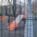 Площадка для выгула собак в городе Москва