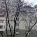 ул. Большая Якиманка, 42 строение 1-2 в городе Москва