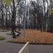 Парк посёлка Рублёво в городе Москва