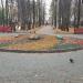 Клумба в городе Москва