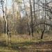 Волейбольная площадка в городе Москва