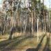 Волейбольная площадка в городе Москва