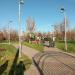 Народный парк «Купеческие угодья» в городе Москва