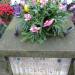 The grave of Grosicki family in Warsaw city