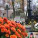 The grave of Grosicki family in Warsaw city