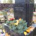The grave of Andrzej Iwanicki in Warsaw city