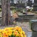 The grave of Bronisław Dardziński in Warsaw city
