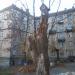 Общежитие № 4 НТУУ «КПИ» в городе Киев