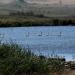 Churbash Lake in Kerch city