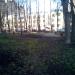 Сквер в городе Красногорск