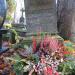The grave of Władysław Makarewicz in Warsaw city
