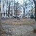 Клумба в городе Киев