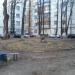 Клумба в городе Киев