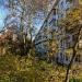 Оршанская ул., 8 корпус 4 в городе Москва