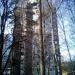Лесная ул., 17 в городе Красногорск