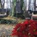 The grave of  Modzelewski family in Warsaw city