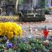 Anonymous grave in Warsaw city