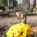 The grave of Wincenty Pijus Plackowski in Warsaw city