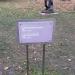 Скульптура «Собирающий камни» в городе Москва