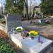 The grave of Wiktor Gomulicki's family in Warsaw city