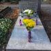 The grave of Wiktor Gomulicki's family in Warsaw city