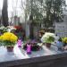 The grave of Wiktor Gomulicki's family in Warsaw city