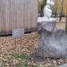 Скульптура «Черная шаль» в городе Москва