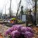The grave of Szymański family in Warsaw city