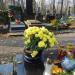 The grave of Wicherkiewicz family in Warsaw city