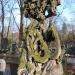 The grave of Michał Turkowski in Warsaw city