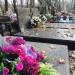 The grave of Adam Markiewicz in Warsaw city
