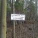Лесной квартал № 11 в городе Саров