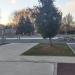 Детская спортивная площадка в городе Москва
