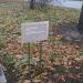 Скульптура «Портрет Бучкина» в городе Москва