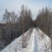 Заброшенный виадук в городе Кизел