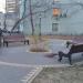 Сквер в городе Москва