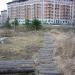 Загаженное «шашлычниками» место в городе Красногорск