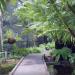 Brisbane Botanic Gardens, Mount Coot-tha