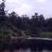 Brisbane Botanic Gardens, Mount Coot-tha