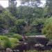 Brisbane Botanic Gardens, Mount Coot-tha