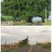 Túnel Verde na Matão city