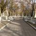 Алея в місті Шептицький