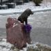 Скульптура «Муму» в городе Москва