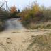 Розариум в городе Севастополь