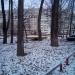 Водопропускная труба руч. Поныри под автодорогой в городе Щёлково