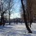 Собачья площадка в городе Москва