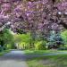 The Arboretum in Nottingham city